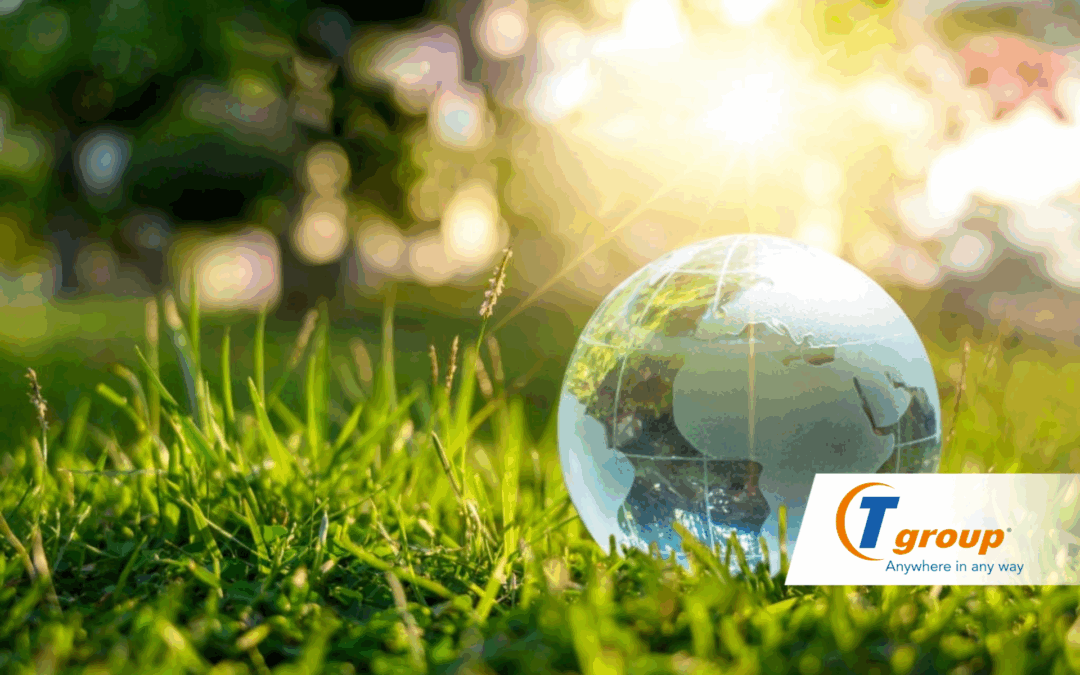 TGROUP ADOTTERÀ UN REPORT DI SOSTENIBILITÀ. G. TERRACCIANO: “IMPEGNO SUL TEMA, AL CENTRO DELLA NOSTRA AZIONE”